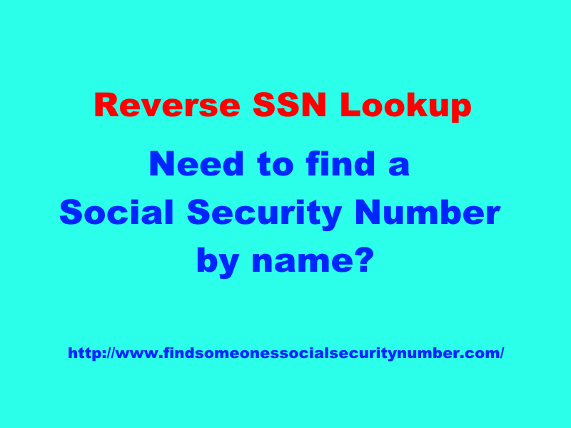 Your Best Guide To Ssn Lookup Lance Casey & Associates